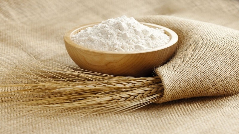 برای خمیر پیتزا از چه آردی استفاده کنیم؟