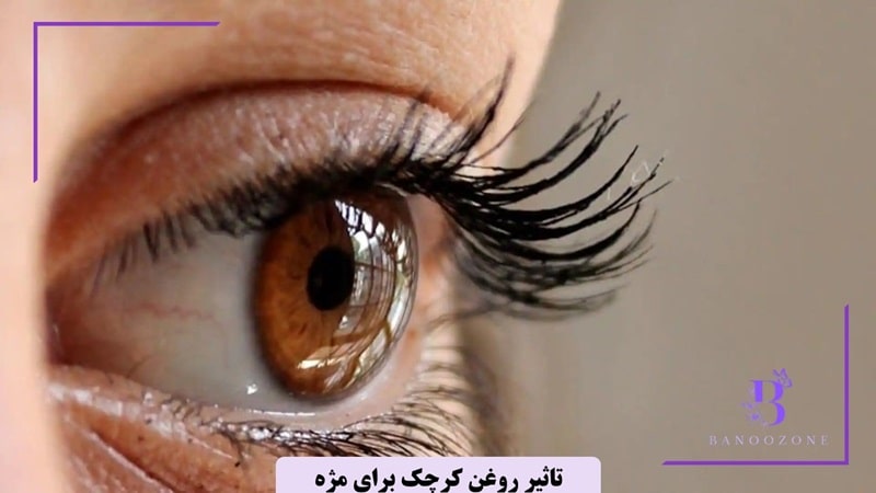 مزایای روغن کرچک برای مژه