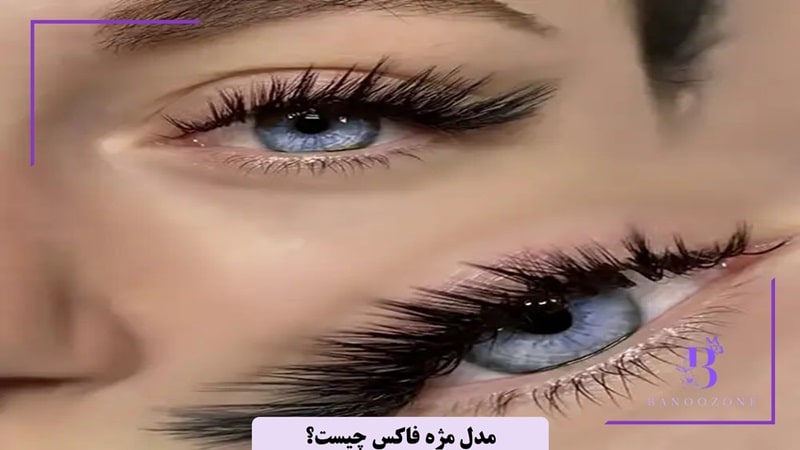 مدل مژه فاکس چیست
