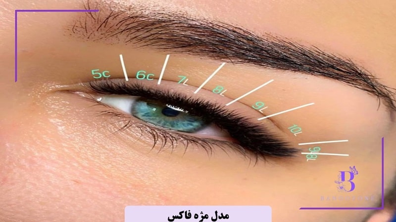 مدل مژه فاکس