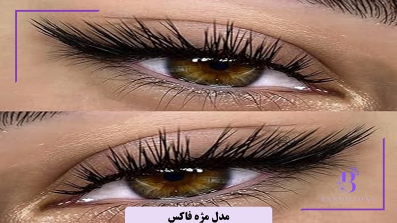 مدل مژه فاکس