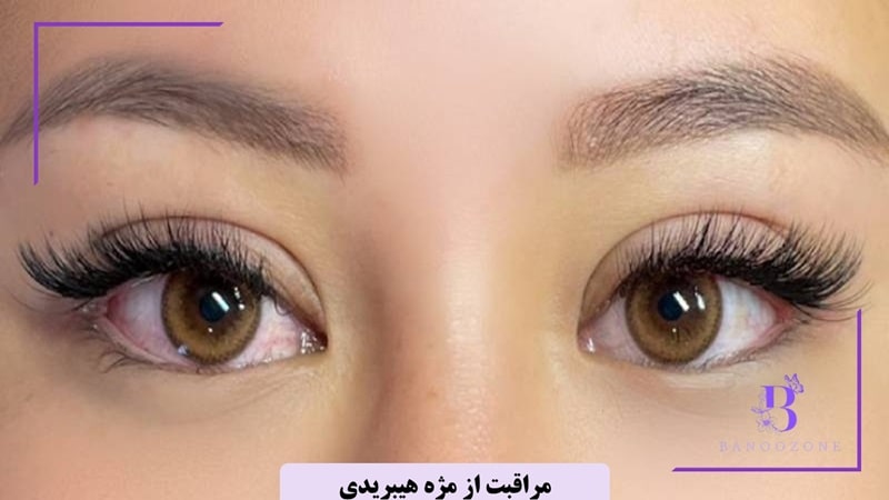 مراقبت از مژه هیبریدی