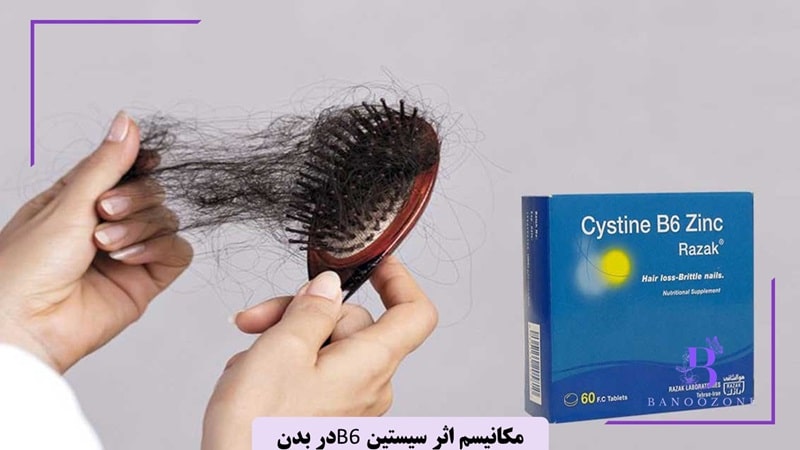 مکانیسم اثر سیستین و B6 در بدن