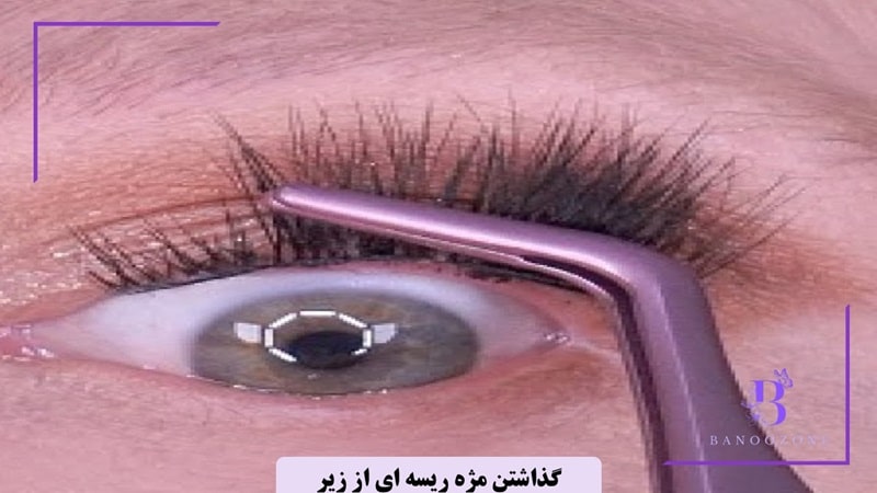 مراحل گام به گام گذاشتن مژه ریسه ای از زیر
