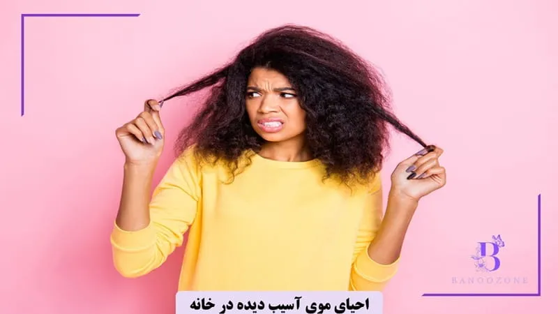 احیای موی آسیب ‌دیده در منزل