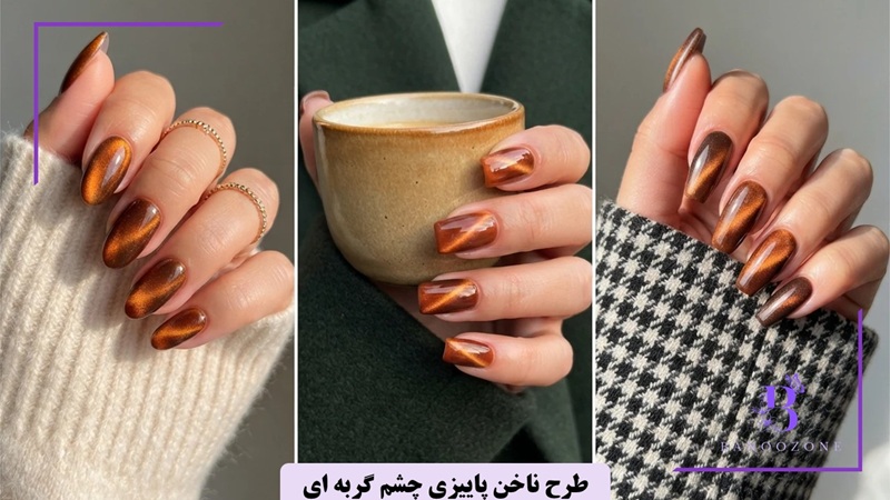 طرح ناخن پاییزی چشم گربه ای
